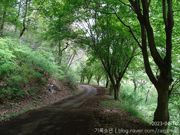 불무골 사진 5