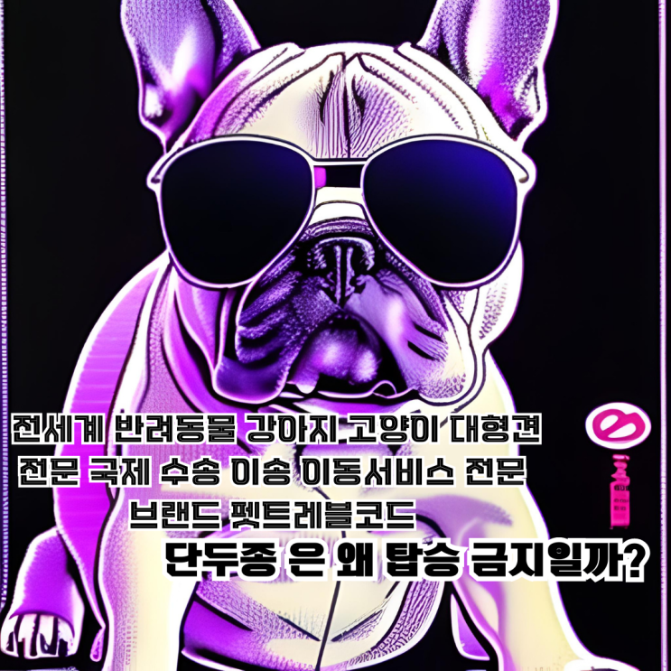  단두종해외운송시 단두종 개 고양이 비행기 금지인 이유?