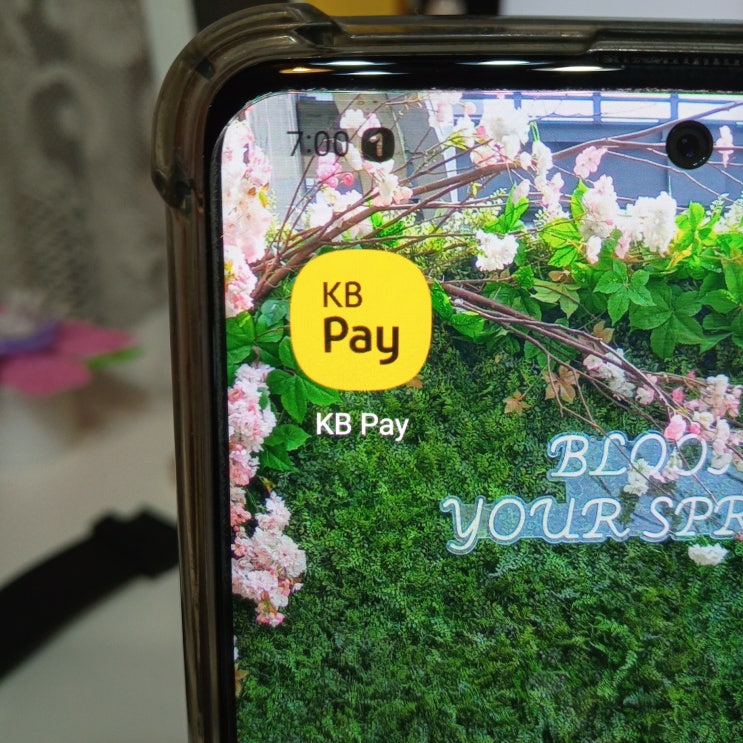  KBPay 국민카드 결제 비밀번호 변경하는 방법