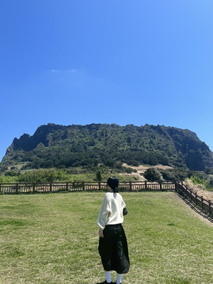  제주도 여행기 | 2일차 (서귀포 조깅, 서귀샌드, 휴애리 수국축제, 가시아방국수, 성산일출봉, 제주i, 월정리, 함덕 고집돌우럭)