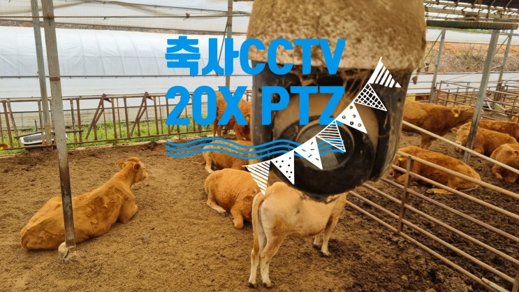 축사 카메라 20배줌 IP CCTV PTZ 불량 수리 POE허브 교체설치