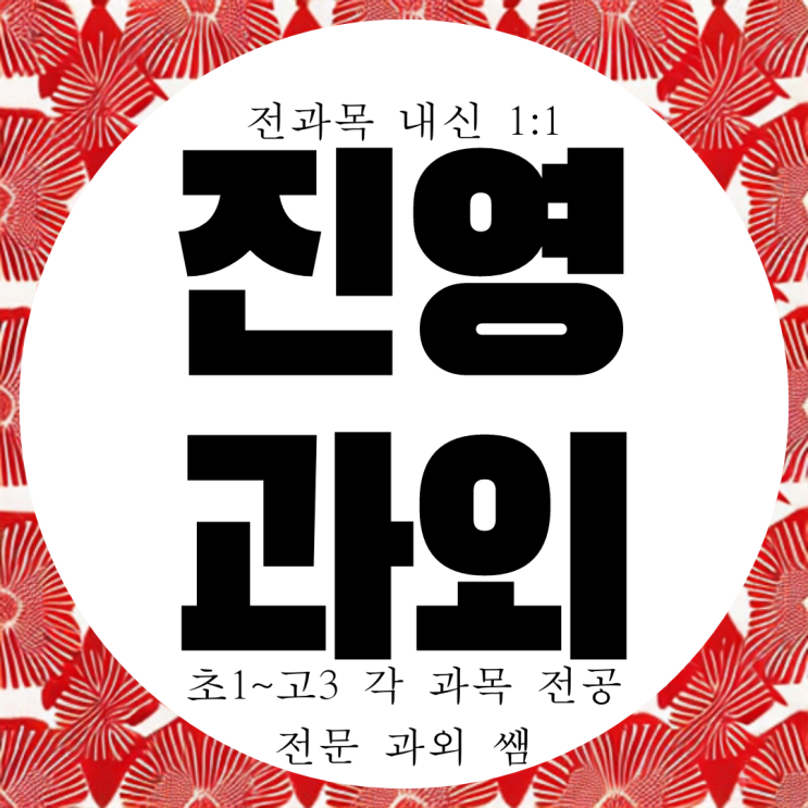  진영 고등 영어과외 중학생 제일고 내신 수학과외 국어 영수 과학 물리 화학