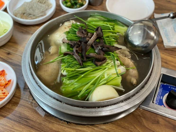  일산 토박이가 추천한 맛집 원가든 능이버섯백숙