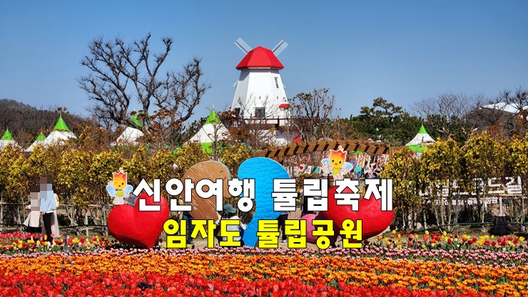 전남 신안여행 신안 가볼만한곳 | 신안 튤립축제(임자도 튤립공원) & 대광해수욕장 | 1004섬 신안 전남 신안여행 신안 가볼만한곳 | 신안 튤립축제(임자도 튤립공원) & 대광해수욕장 | 1004섬 신안