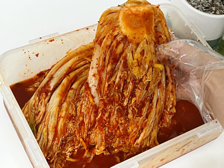 비건식단 젓갈없어도 맛있는 포기김치 봄나래비건김치 비건식단 젓갈없어도 맛있는 포기김치 봄나래비건김치
