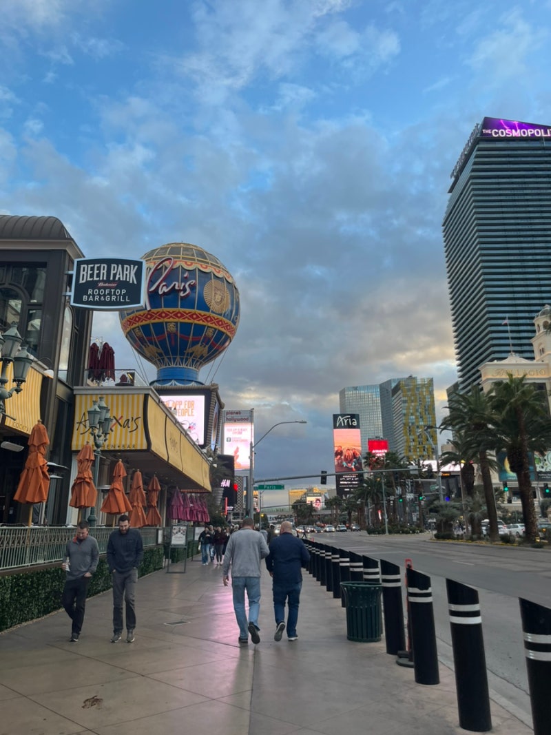 미국 서부 여행 - 4.라스베가스(스트립 호텔 정리 & 호텔쇼 정보) : 네이버 블로그