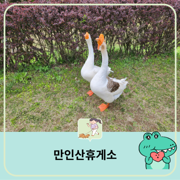  대전 마전 인근 산책하기 좋은 곳-  데이트 드라이브 코스