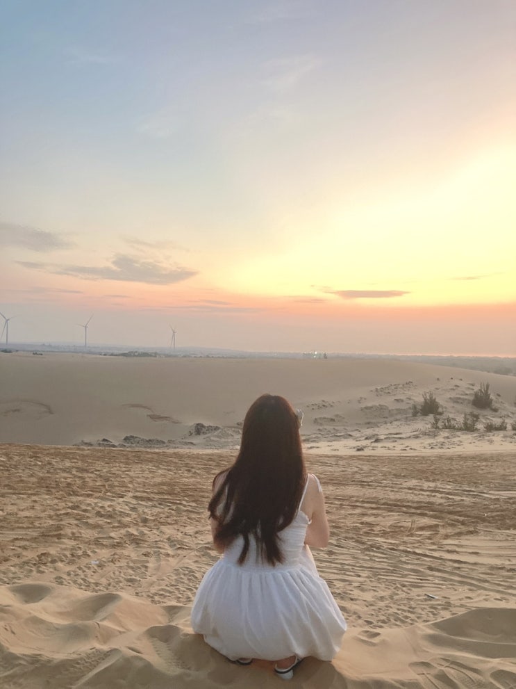  [나트랑-무이네] 지프차 투어 추천(화이트샌듄,레드샌듄,요정의 샘물,용과 꽃)