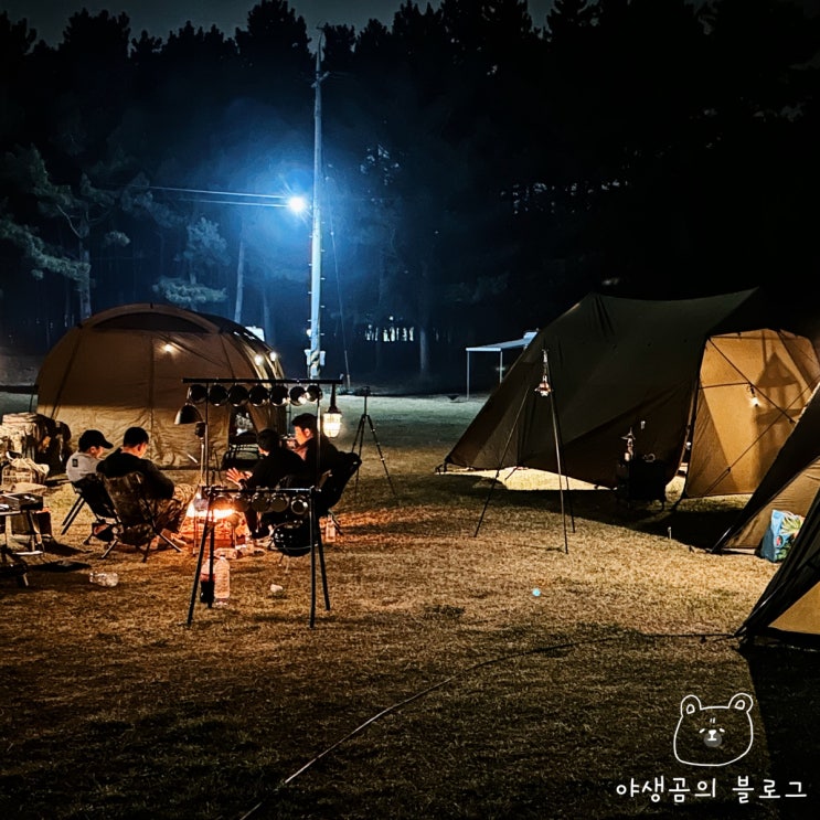 고아웃 캠프가 열리는 오션뷰 태안 구례포 석갱이오토캠핑장