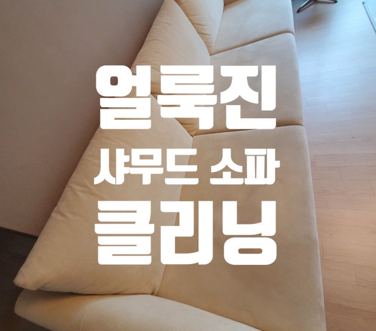  얼룩진 샤무드 쇼파 전문 청소업체에 맡겨보세요.