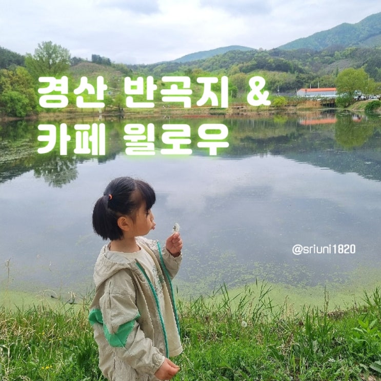  [나들이] '23. 4월 15일 대구 근교 산책 및 사진 찍기 좋은 곳 경산 반곡지 & 카페 윌로우