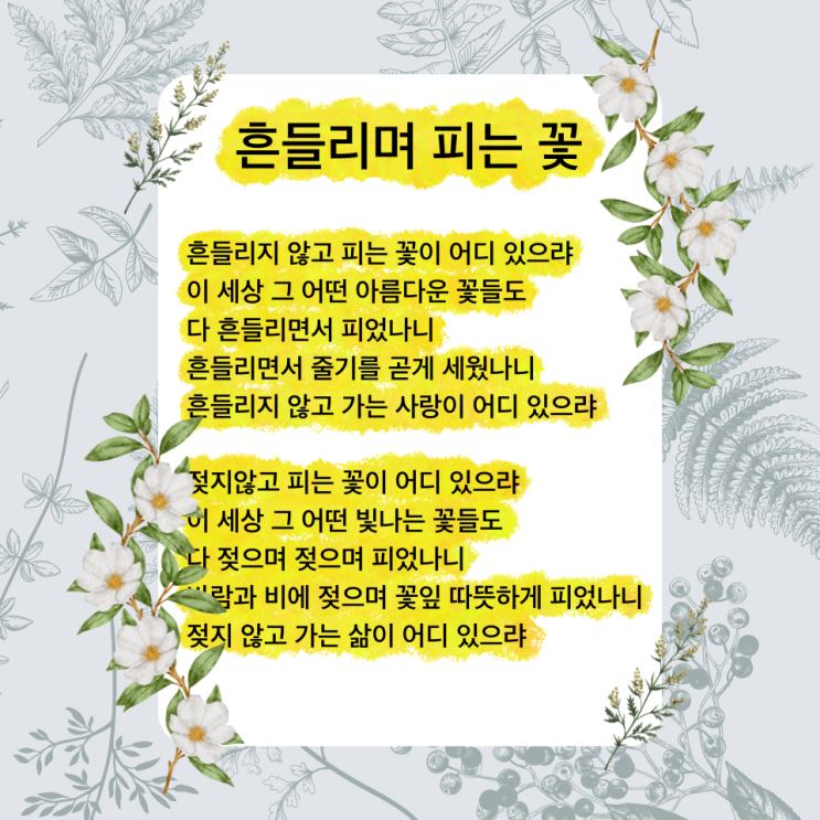 흔들리며 피는 꽃 도종환 시 (ft. 흔들리지 않고 피는 꽃이 어디 있으랴, 도종환 지음) 흔들리며 피는 꽃 도종환 시 (ft. 흔들리지 않고 피는 꽃이 어디 있으랴, 도종환 지음)