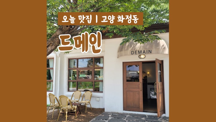 화정 카페 드메인 햇살 가득 분위기 좋은 카페 화정 카페 드메인 햇살 가득 분위기 좋은 카페