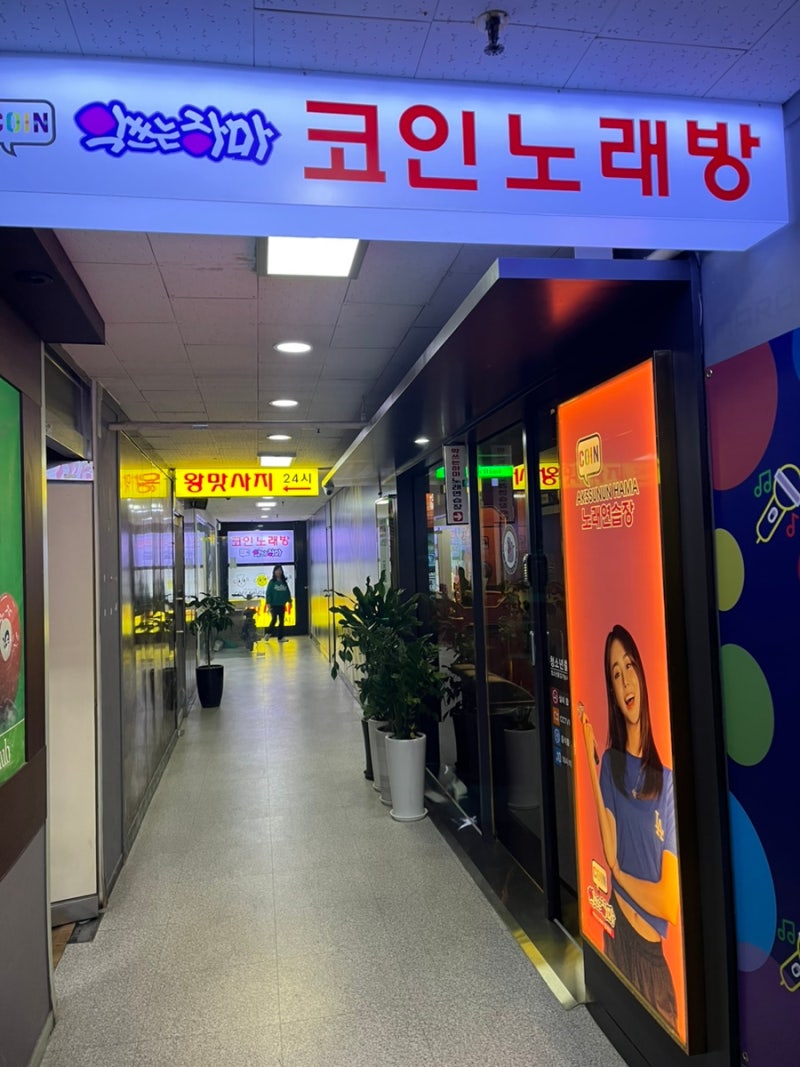 경기도/안양_범계] 테마별 예쁜 코인노래방 3가지 방 이용 솔직 후기 - 악쓰는 하마 코인 노래연습장 범계점 : 네이버 블로그