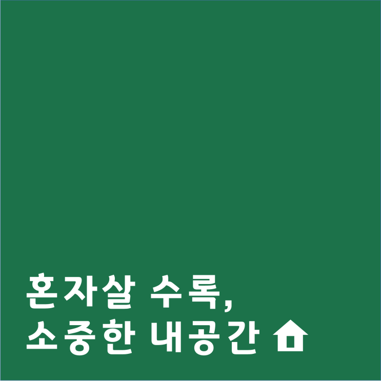  나홀로 가구가 짐은 더 많아요