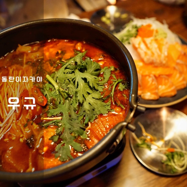  동탄 북광장 이자카야 우규 연어회 육회비빔밥 모츠나베