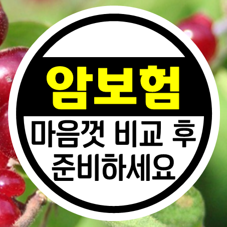  암진단금보험 종류 확인 및 비갱신형암보험비교 후 맘 편히 가입 준비하세요.