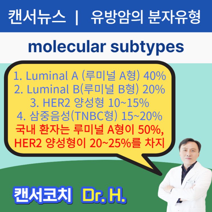 유방암의 분자유형 분자표현형 4가지. 루미널A, 루미널 B, HER2양성, 삼중음성유방암(TNBC) 면역암치료