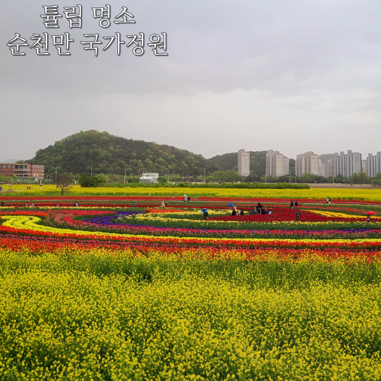  [순천 여행] "순천만 국가 정원" :: 순천만 국가 정원 주차장, 풍덕 경관 정원, 동천 출렁다리, 전망대 포토존, 전주 광주 튤립 명소
