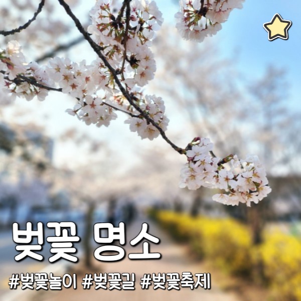  벚꽃 명소 봄꽃 축제 봄나들이 데이트 코스 추천