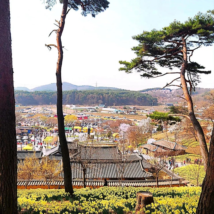  서해안의 전통가옥, 서산 유기방 가옥, 365일 관람