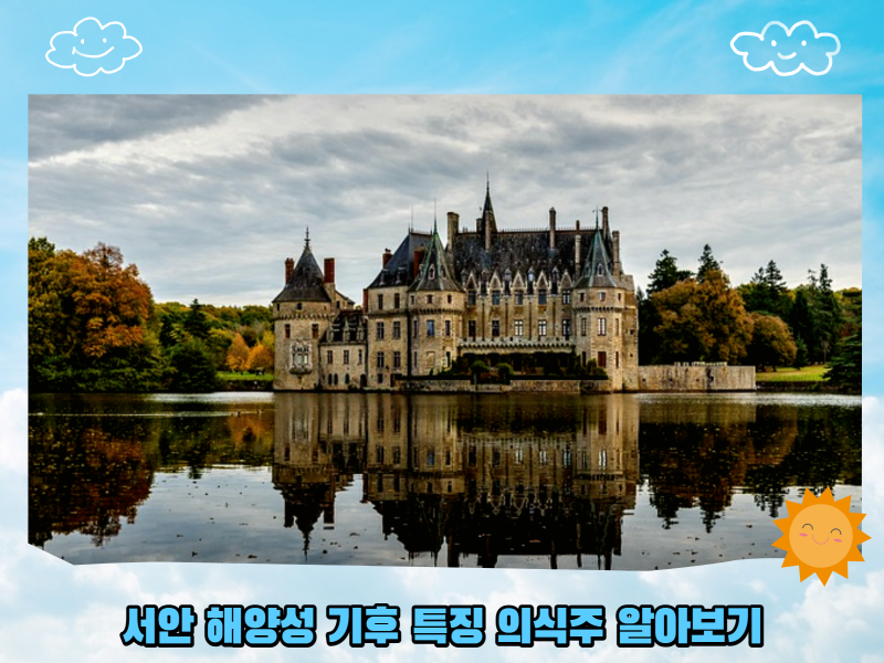 서안 해양성 기후 특징 의식주 알아보기 : 네이버 블로그