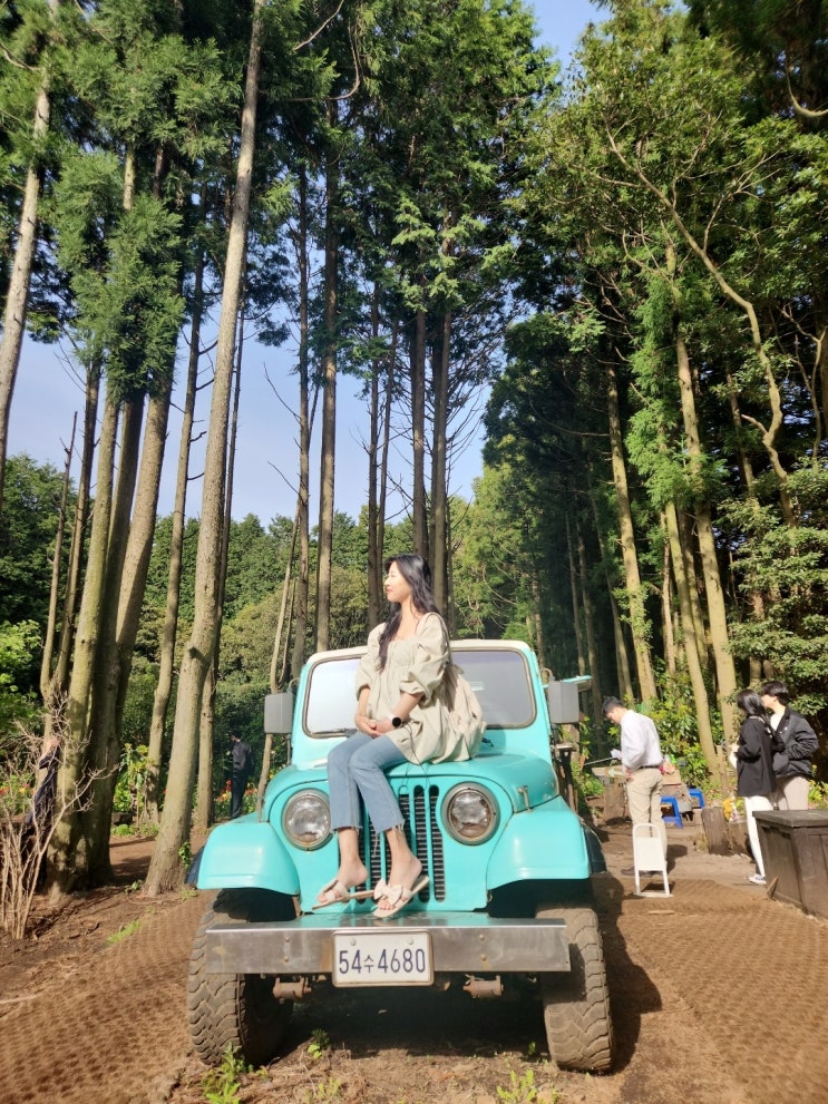  [제주] 구좌읍 갈만한곳 비밀의숲 안돌오름 포토존 스냅사진 솔직 후기