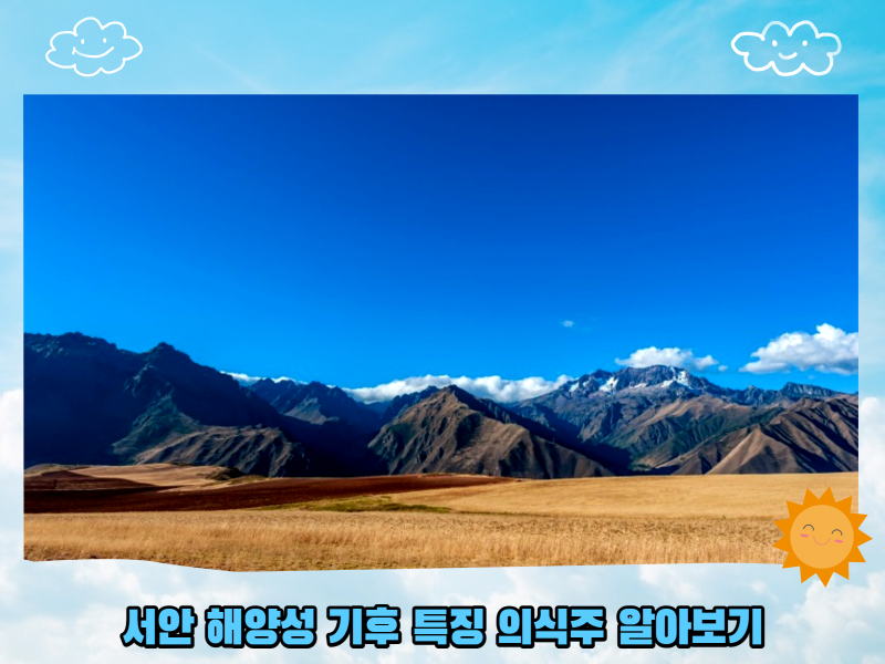 서안 해양성 기후 특징 의식주 알아보기 : 네이버 블로그