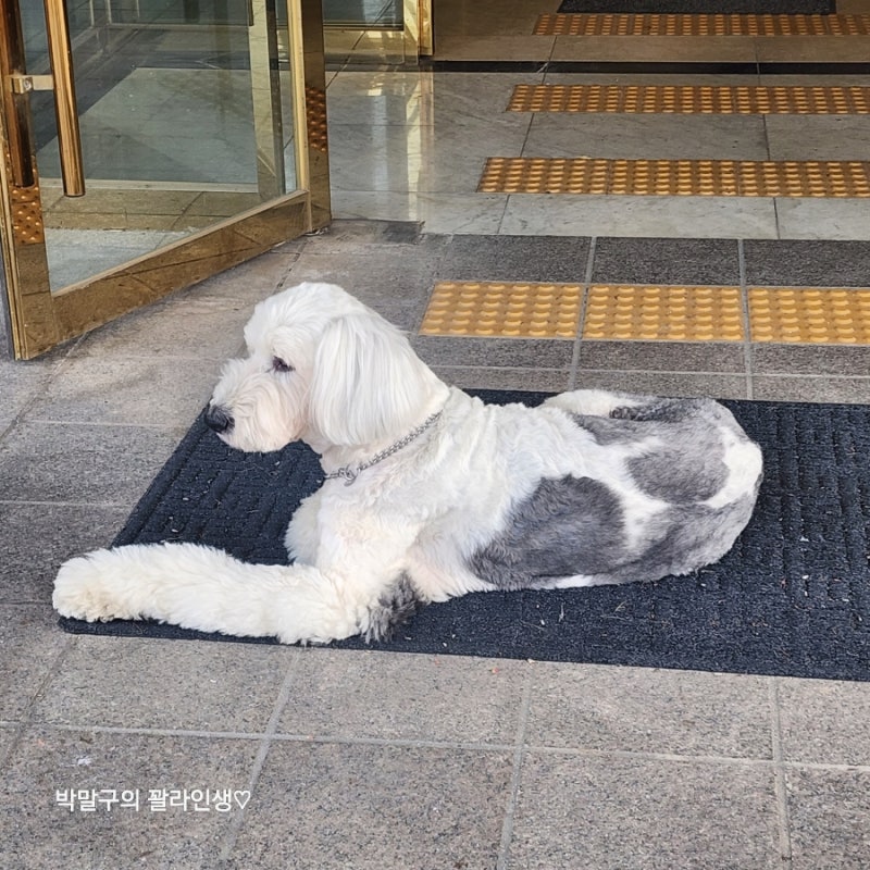 사진 15