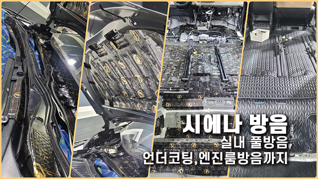  시에나 방음의 모든것 팀보가에서!