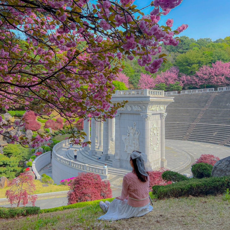  겹벚꽃명소 용인 드라이브코스로 좋은 경희대학교