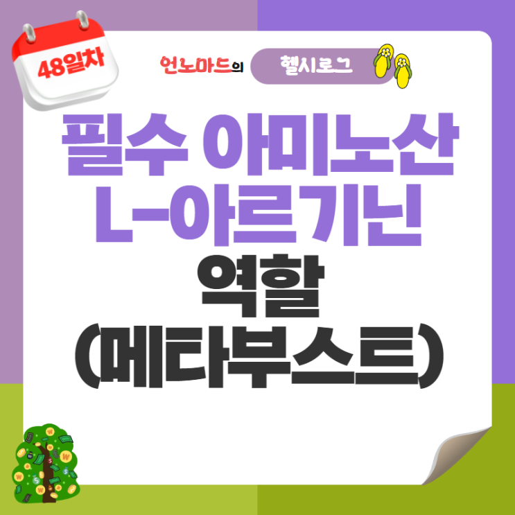 48일차, 필수 아미노산과 L-아르기닌의 역할 (In 메타부스트 이엑스)