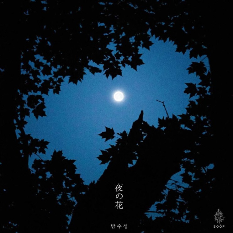 밤수성 - 밤의 꽃 (夜の花) [노래가사, 듣기, MV]