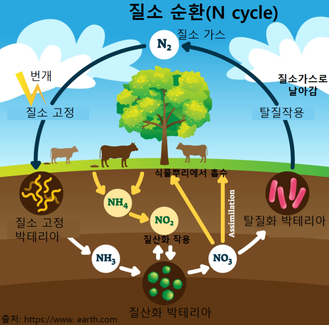 작물 생산성·품질 향상시키는 질소비료…많이 쓰면 농업생태계가 아파요! [재미있는 농업이야기 100] : 네이버 블로그