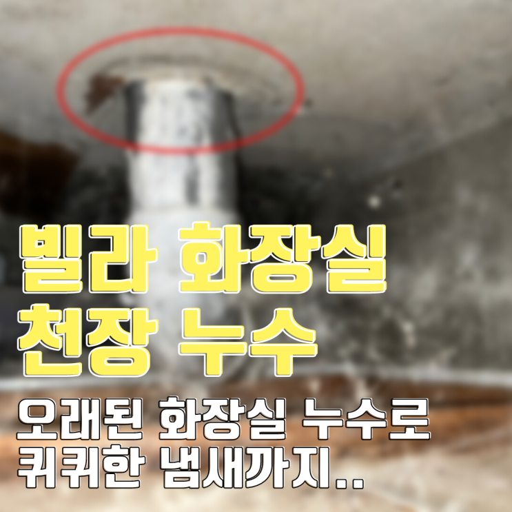  동탄누수탐지 빌라 화장실 천장 누수-오래된 화장실 누수로 퀴퀴한 냄새까지