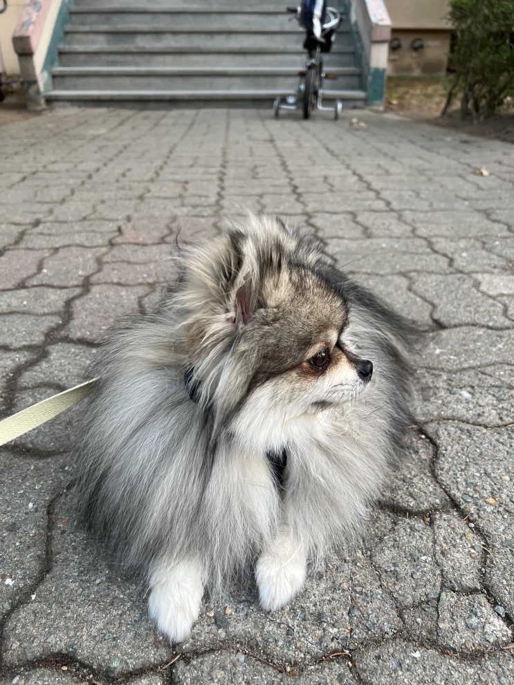  집 앞에서