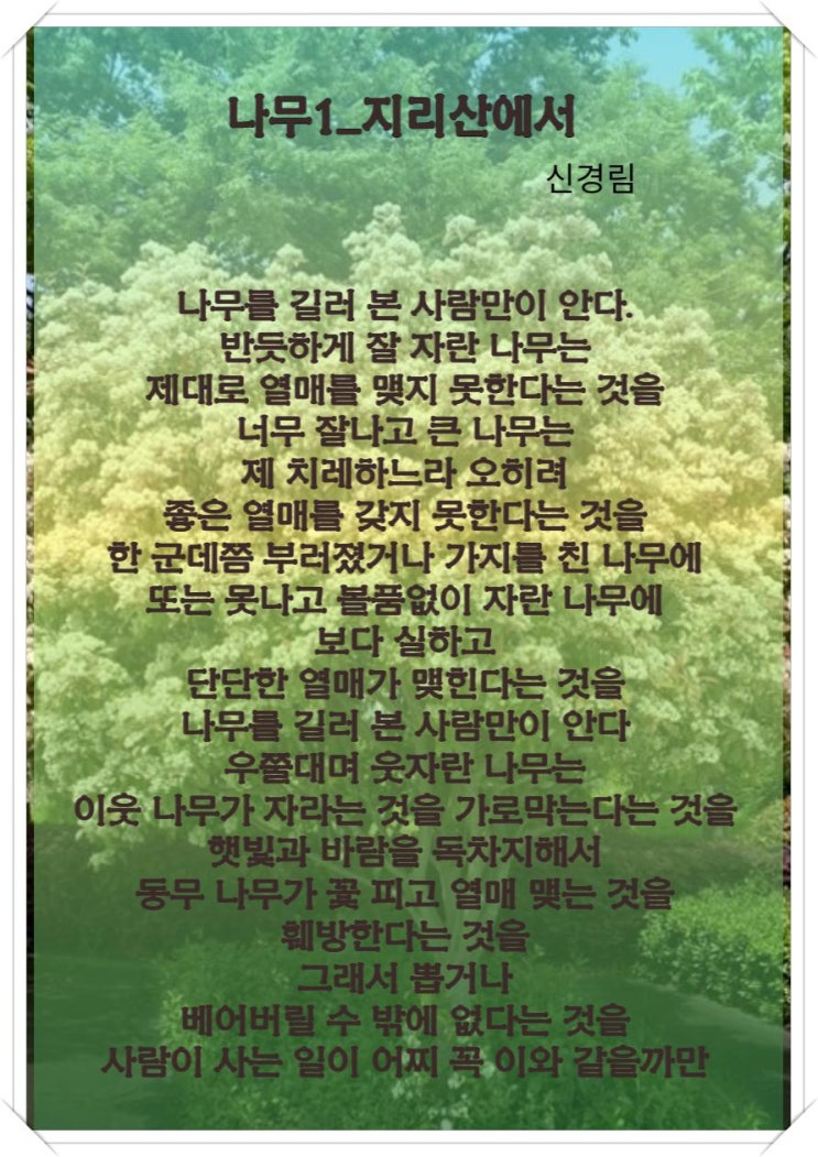  식목일 나무를 통해 배우는 우리 삶의 자세