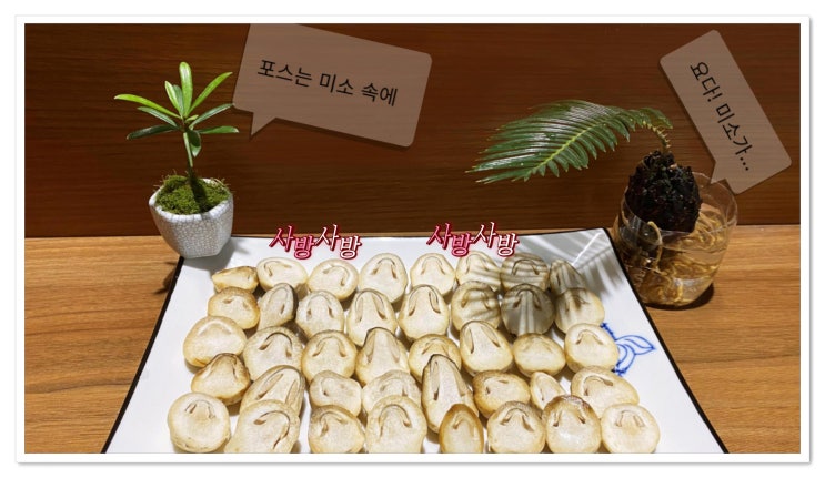  벌레 NO 동충하초 꽃,알 NO 짚버섯