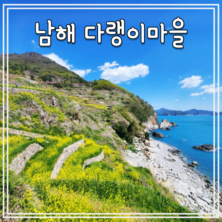  남해 가볼만한곳 다랭이마을 유채꽃 개화상황