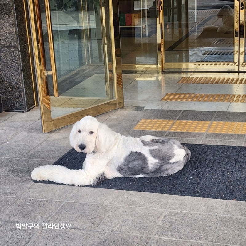 사진 14