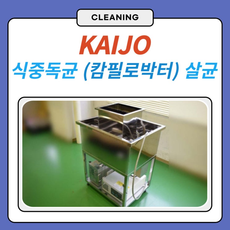  닭고기 세척의 중요성!! 캄필로박터균 초음파살균