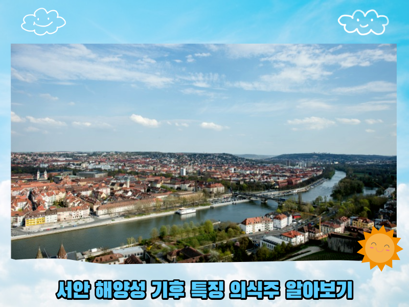서안 해양성 기후 특징 의식주 알아보기 : 네이버 블로그