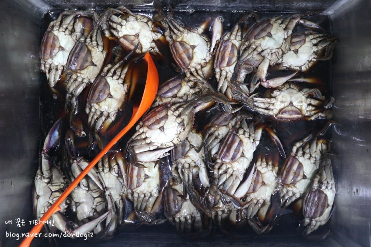  대구게장 신기한꽃게장 본리점