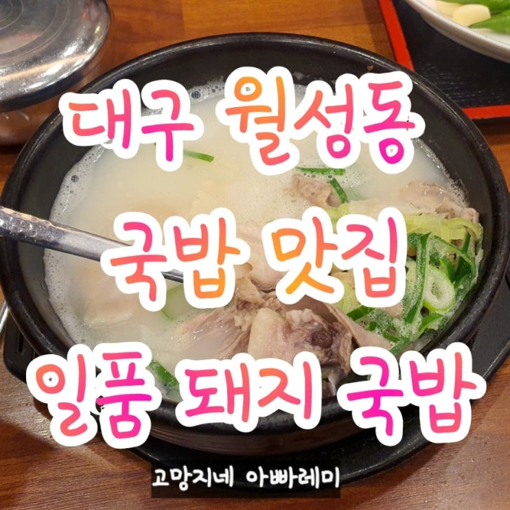 대구 월성동 국밥 맛집 일품 돼지 국밥