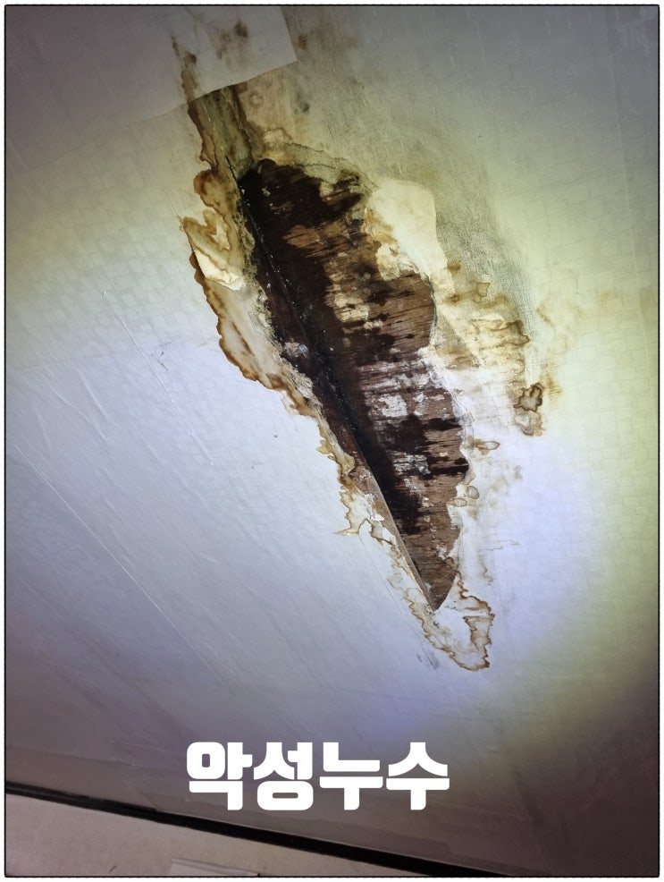  3년 만에 구운동 누수탐지 해결해 드리니 누수 박사 최고라네요!
