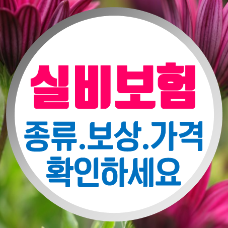  50대실비보험 가입조건과 50대실손보험 종류 및 보상 확인 후 준비하세요.