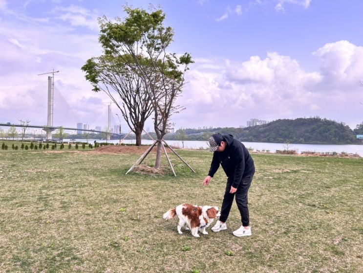 봄 나들이 구리한강공원 강아지 산책하기 참 좋은 장소
