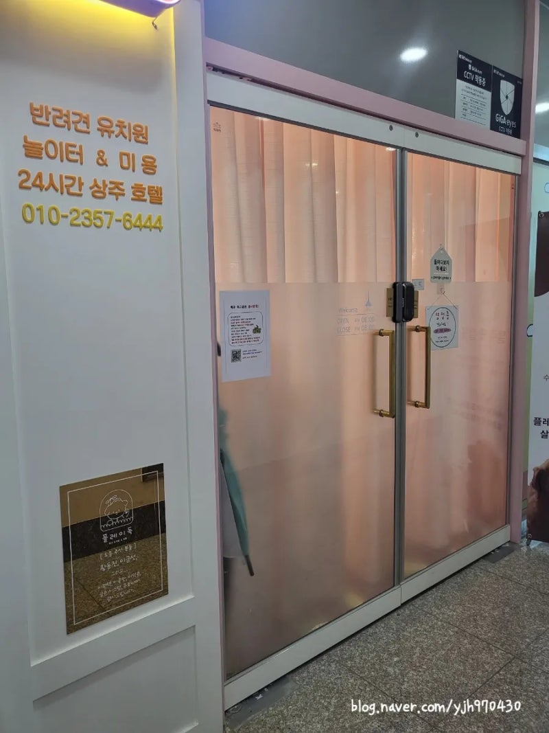 사진 6