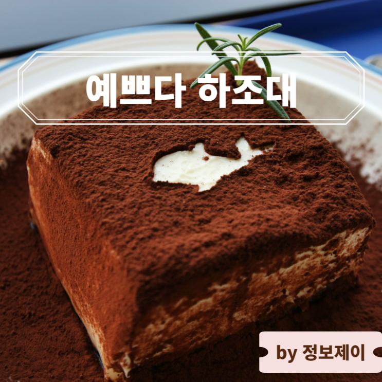  [양양 하조대 카페] 수제 티라미수 맛집, 양양 하조대 핫플 " 예쁘다 하조대 "