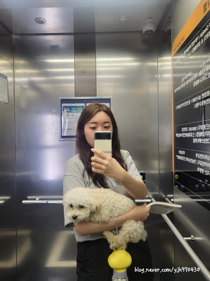 사진 5